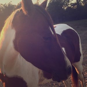 Meet your Posher, Naomi